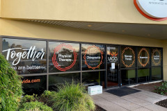 Vida-Window-Graphics-2